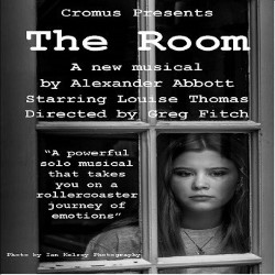 Image result for the room edfringe